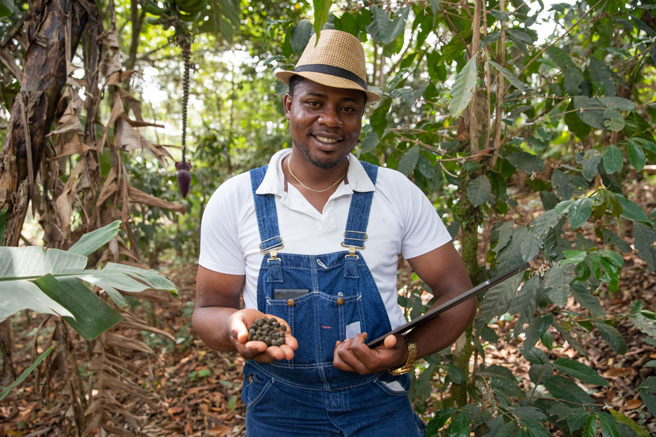 Climate Change - sustainable farming - go joe bean