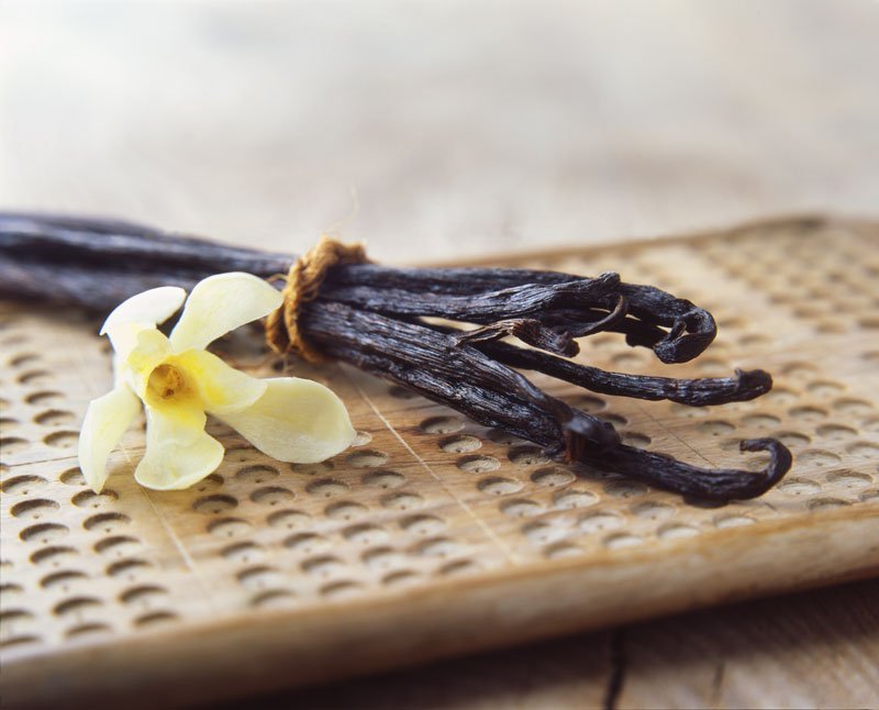 vanilla pods and yellow flower on wooden board - vanilla latte recipe - go joe bean